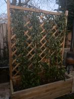 Houten Tuinscherm met Klimrek & Plantenbak 120bx170h, Ophalen, Minder dan 100 cm, Zo goed als nieuw, 150 tot 200 cm