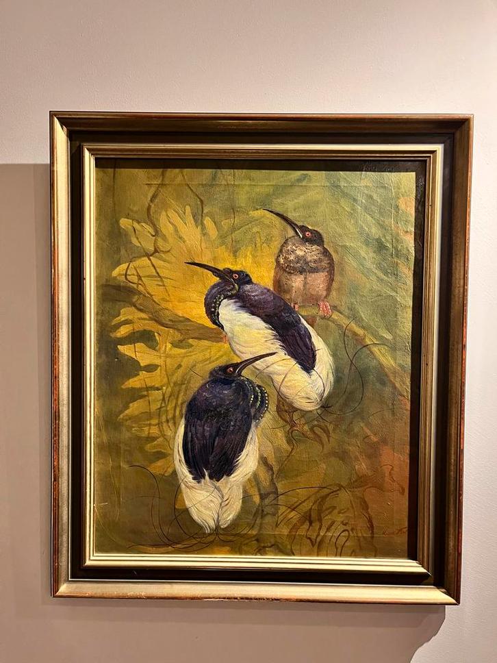 Marie Kelting - Paradijsvogels, Antiek en Kunst, Kunst | Schilderijen | Klassiek, Ophalen