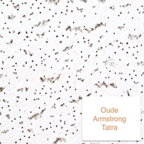 Gevraagd Armstrong Tatra plafondplaten oud model, Doe-het-zelf en Verbouw, Platen en Panelen, Zo goed als nieuw, Overige materialen