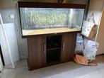 JUWEL AQUARIUM MET ONDERKAST 240LTR, Ophalen, Gebruikt, Leeg aquarium