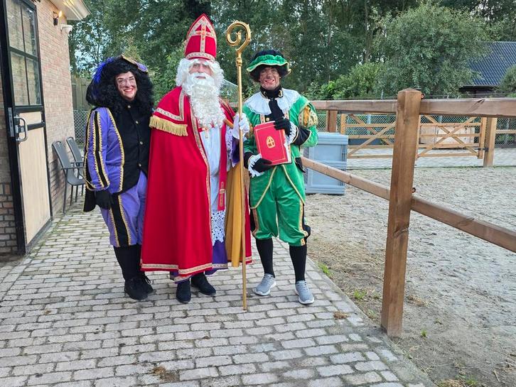 Sinterklaas en pieten op bezoek, Diversen, Sinterklaas, Zo goed als nieuw, Ophalen