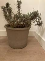 Bloempotten Deroma Cilindro grafiet, Gebruikt, Rond, Tuin, Minder dan 40 cm