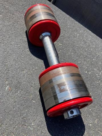 halter met 12 schijven totaal 12,5 kilogram beschikbaar voor biedingen