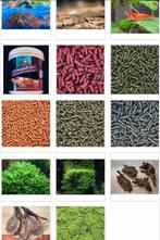 Garnalen starterspakket actieprijs € 56,40, Kreeft, Krab of Garnaal