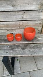 Zgn oranje bloempjes 3 stuks 17x9 cm, Ophalen, Zo goed als nieuw, Rond, Minder dan 25 cm