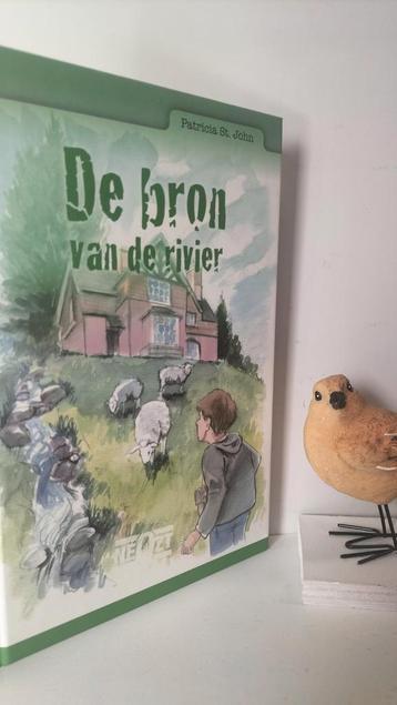 St. John, Patricia; De bron van de rivier  beschikbaar voor biedingen