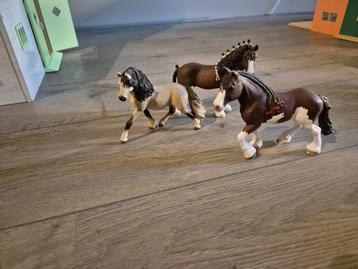 Schleichpaarden. beschikbaar voor biedingen