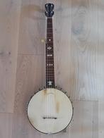 Buckbee fretless banjo, Ophalen of Verzenden, Gebruikt