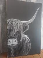 Canvas schotse hooglander.  1m15 hoog 75 cm breed, Ophalen, 75 cm of meer, 50 tot 75 cm, Print