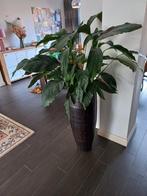 Pot voor kamerplant, Tuin en Terras, Bloempotten, Gebruikt, Binnen, 70 cm of meer, Ophalen