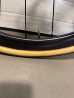 Carbon tube wielen dtswiss naaf ratchet systeem, Ophalen, Racefiets, Wiel