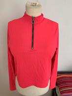 Primark dames trui maat M voor 5 euro, Kleding | Dames, Truien en Vesten, Ophalen of Verzenden, Zo goed als nieuw