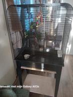 Vogelkooi, Dieren en Toebehoren, Vogels | Hokken en Kooien, Ophalen, Metaal, Vogelkooi