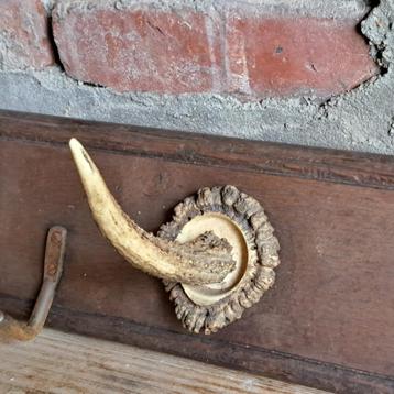 Oude brocante houten kapstok met hoorns + haakjes *Etage3*  beschikbaar voor biedingen