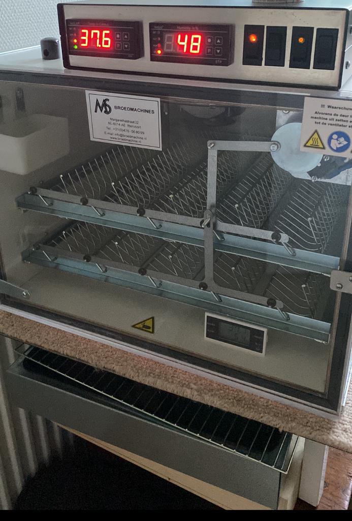 Ms 100 Broedmachine. Vol automatisch, Dieren en Toebehoren, Pluimvee | Toebehoren, Zo goed als nieuw, Broedmachine, Ophalen of Verzenden