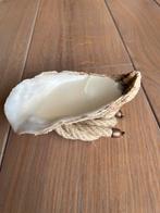 Schelp kaars, Ophalen of Verzenden, Zo goed als nieuw, Overige materialen