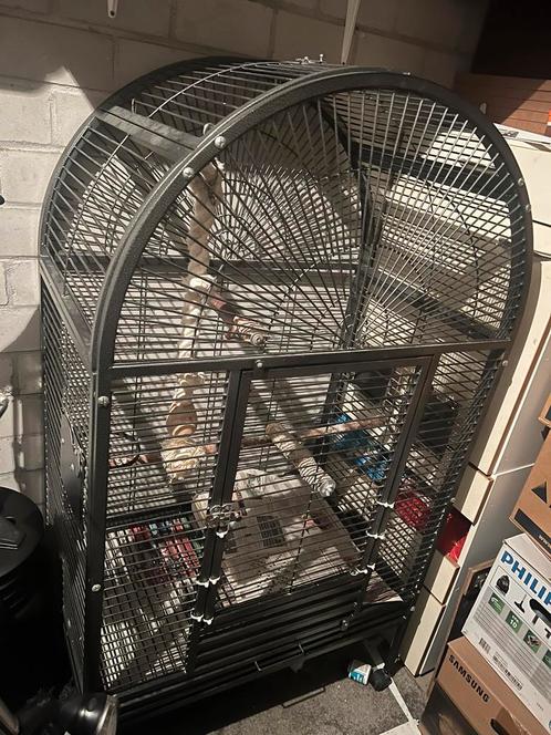 Papegaaienkooi Strong Villa Isa, Dieren en Toebehoren, Vogels | Hokken en Kooien, Zo goed als nieuw, Vogelkooi, Metaal, Ophalen