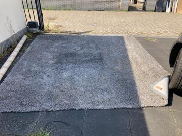 Woodnotes Vloerkleed ca 3.3 x 3.1 meter Grijs beschikbaar voor biedingen
