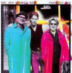 CD: The Jim Carroll Band – Catholic Boy (ZGAN), Ophalen of Verzenden, Zo goed als nieuw, Poprock