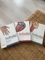 Sobotta anatomie boeken volledige reeks, Boeken, Waschke; Paulsen, Ophalen of Verzenden, Zo goed als nieuw