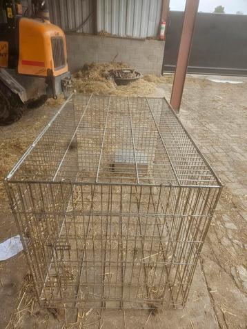 honden bench groot. voor grote hond beschikbaar voor biedingen