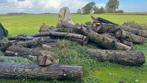 Stammen en blokken hout te koop, Ophalen of Verzenden