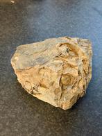 Fossiel uit Noorwegen, Verzamelen, Ophalen, Fossiel