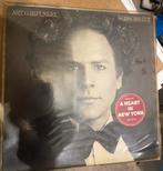 Art Garfunkel scissors cut, Cd's en Dvd's, Ophalen of Verzenden, 1960 tot 1980, Gebruikt, 12 inch