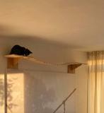 Katten Brug / Ladder / Trap Hout - Wand / Muur Meubel, Dieren en Toebehoren, Katten-accessoires, Ophalen, Gebruikt
