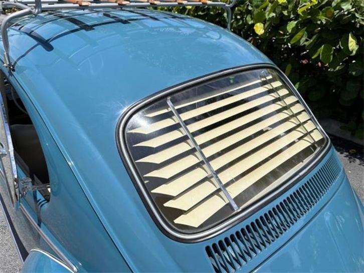 VW Kever achterruitrooster 08/64 - 07/71 Insectenhorren, Auto diversen, Auto-accessoires, Nieuw, Ophalen of Verzenden