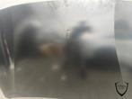 Peugeot 208 motorkap 2019+, Auto-onderdelen, Carrosserie en Plaatwerk, Ophalen of Verzenden, Gebruikt, Peugeot, Motorkap