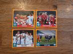 Panini EK 2020 Tournament Edition, Ophalen of Verzenden, Zo goed als nieuw, Plaatje