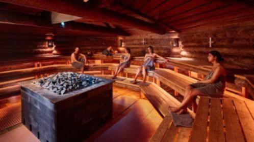 Sauna entree met korting. Heel 2024 te gebruiken!, Tickets en Kaartjes, Kortingen en Cadeaubonnen, Eén persoon, Spa of Sauna, Cadeaubon