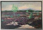 Te koop schilderij, heidelandschap, Antiek en Kunst, Kunst | Schilderijen | Klassiek, Ophalen