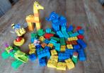 Duplo Stenen en Figuren, Ophalen of Verzenden, Gebruikt, Losse stenen, Duplo