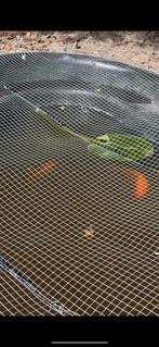 Goudvissen gezocht !!, Dieren en Toebehoren, Vissen | Vijvervissen, Goudvis(sen)