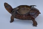 Antieke schildpad asbak rariteit cusiosa en andere taxidermy, Ophalen, Gebruikt, Wild dier, Opgezet dier