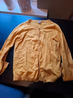 Geel vest HEMA maat 158, Meisje, Trui of Vest, Ophalen of Verzenden, Zo goed als nieuw