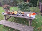 Stihl hla135 accu stokheggenschaar, Tuin en Terras, Heggenscharen, Ophalen, Accu