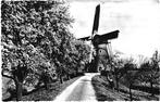 913699	Beesd	Gld molen	Nette oude kaart Onbeschreven, Verzamelen, Ansichtkaarten | Nederland, Ophalen of Verzenden, Ongelopen