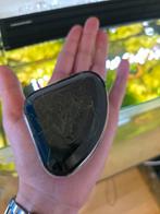 Javamos, Ophalen of Verzenden, Nieuw, Plant(en), Steen of Hout