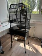 Vogelkooi, Ophalen, Gebruikt, Vogelkooi