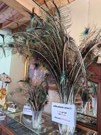 Pauwen veren, Huis en Inrichting, Ophalen, Gebruikt