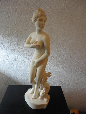 MOOI BEELD  VROUW MET DOLFIJN / VENUS EROS //38 H beschikbaar voor biedingen