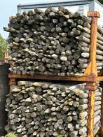 Geïmpregneerde Houten Palen - Gebruikt, Doe-het-zelf en Verbouw, Hout en Planken, Gebruikt, 25 tot 50 mm, Overige typen, Ophalen