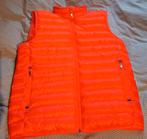 Tommy Hilfiger bodywarmer, M (van € 180,-), Ophalen of Verzenden, Nieuw, Maat 48/50 (M), Tommy Hilfiger