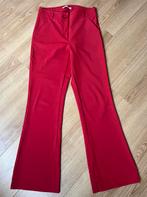 Studio Anneloes Bonded Trousers - Maat M - Rood, Kleding | Dames, Maat 38/40 (M), Ophalen of Verzenden, Zo goed als nieuw, Lang