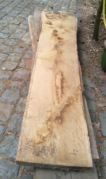 Eiken. Schaaldelen. 8 st 5cm dik, 240cm. Boomplak. Boomstam beschikbaar voor biedingen