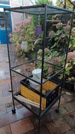 Papegaai/vogelkooi ipst ,overbodig ., Dieren en Toebehoren, Ophalen of Verzenden, Zo goed als nieuw