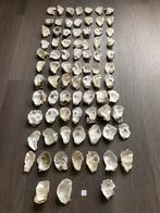 Oesterschelpen, Ophalen of Verzenden, Schelp(en)